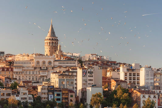 Istanbul Turkey to your customer's door in 3 days