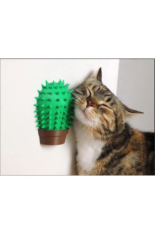 Pureysma cactus cat scratcher with catnip wall-mounted