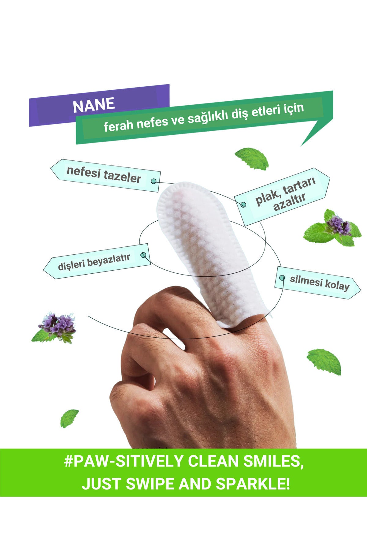 Dog dental finger wipes plaque remover