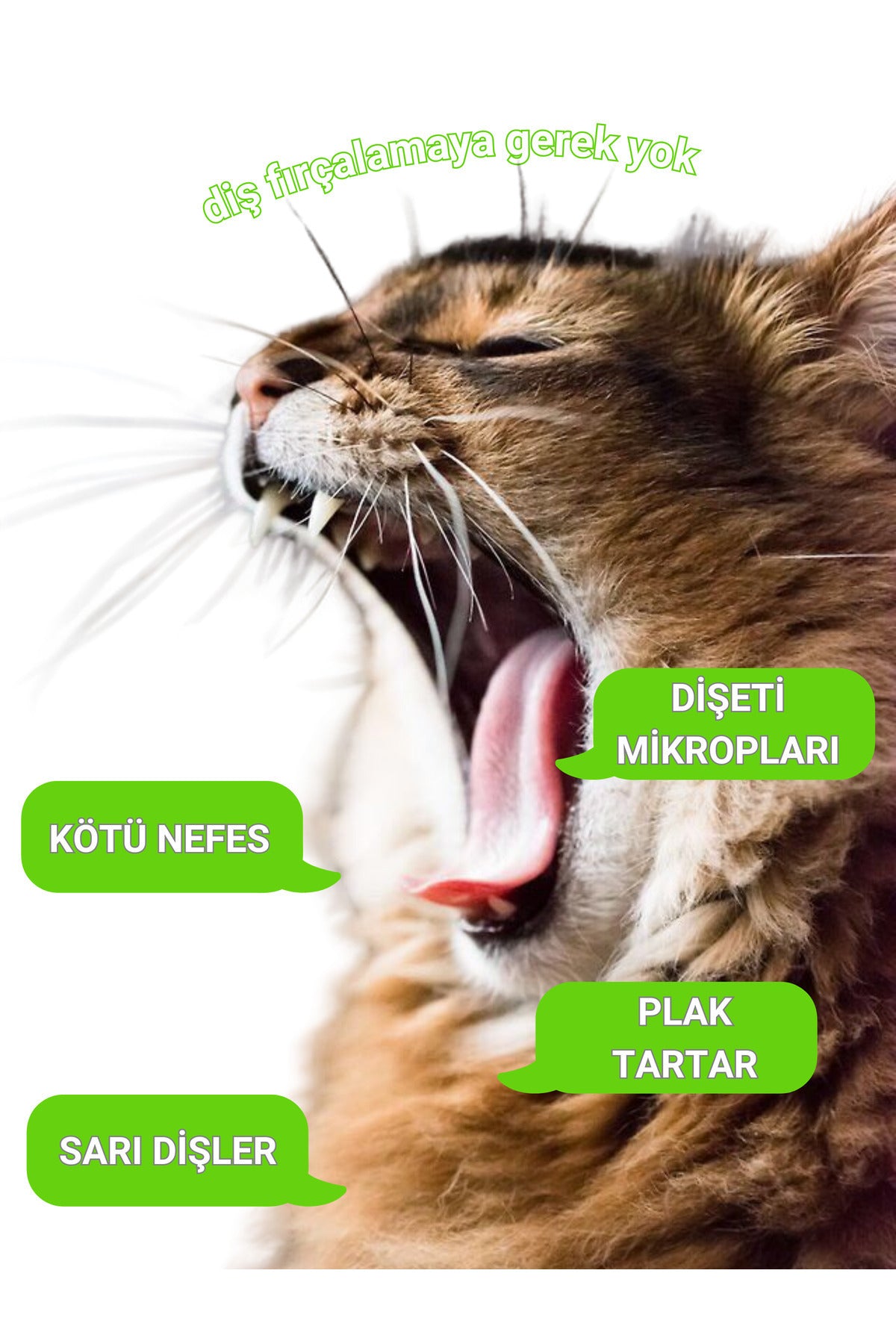 Cat dental wipes tartar bad breath