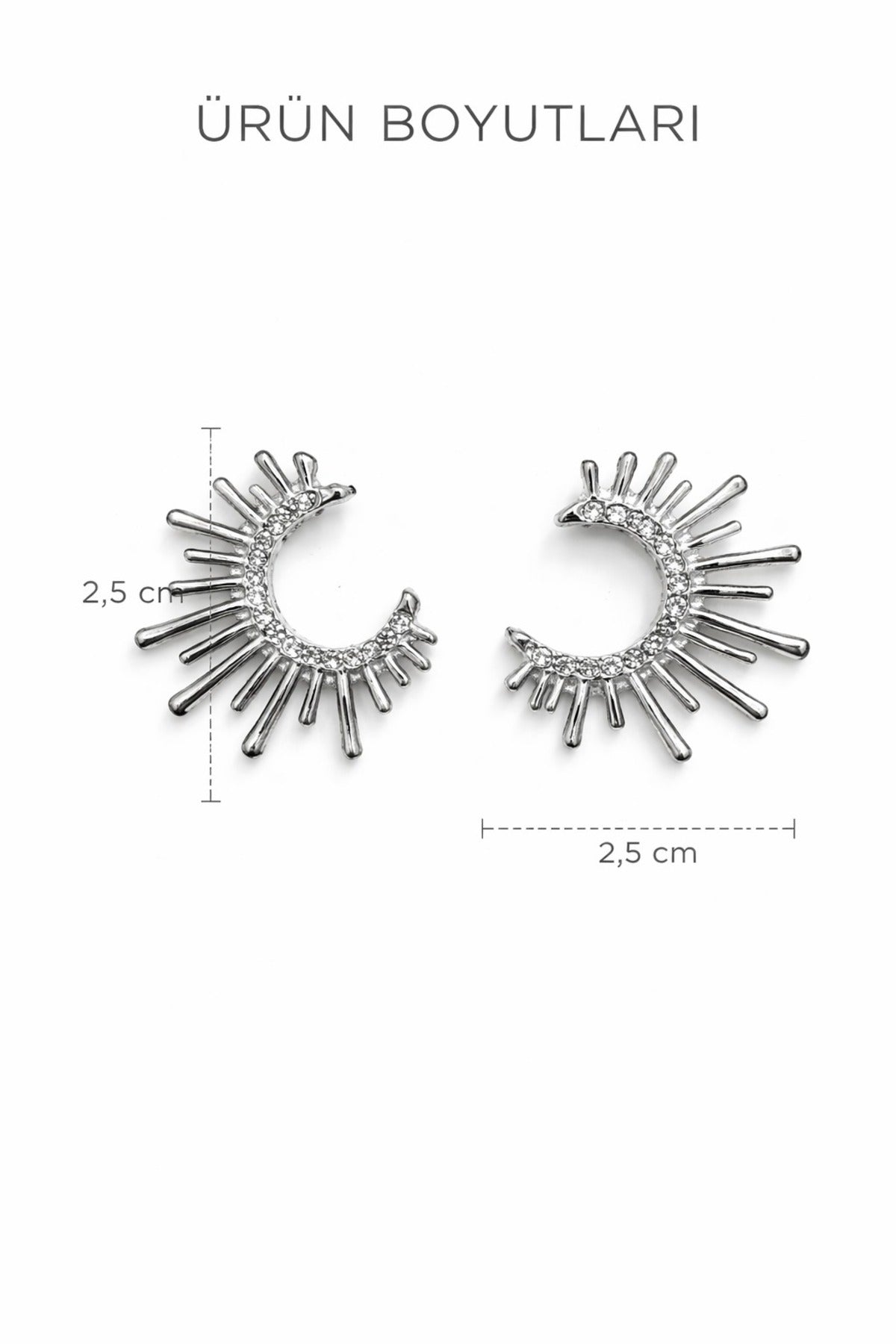 Astra earrings steel